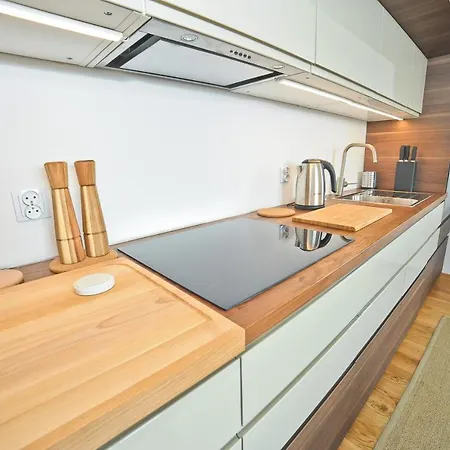 Grand - Three Bedrooms With Panorama Of The Old Town Danzig